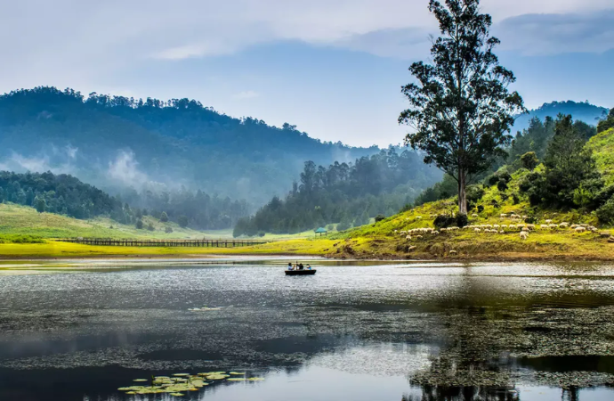 Kodaikanal