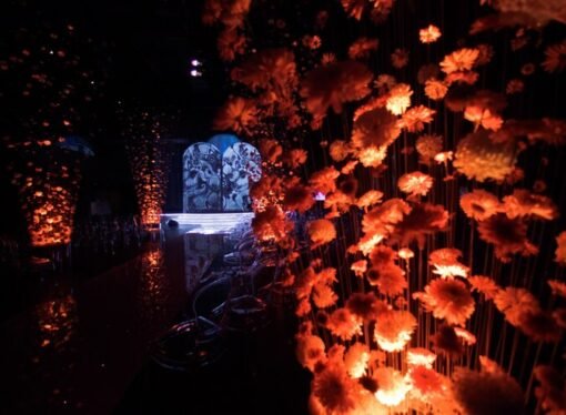 Best Ladies Night Spots in Noida for Dancing and Live Music