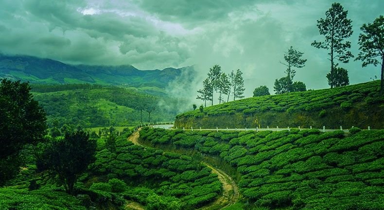 Monsoon in India