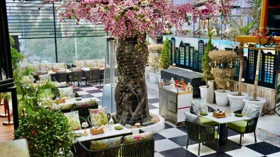 Restaurant Franchise in Noida